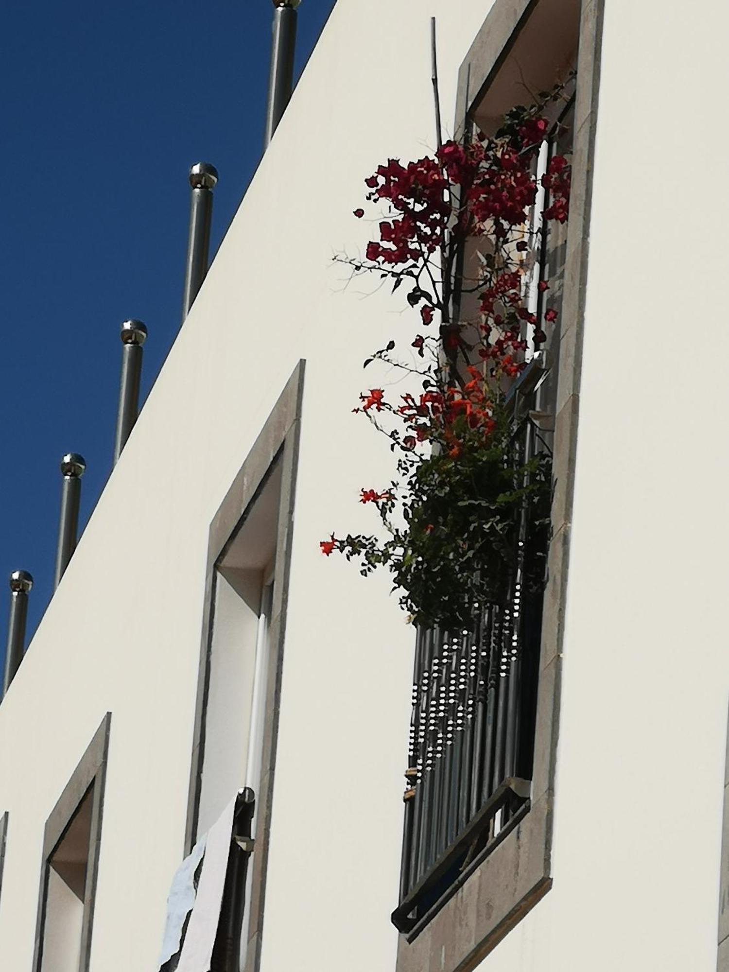 Appartement Puerto De Mogan Sonneland Extérieur photo